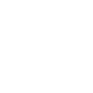 Wild Cherry Blossom Hostel